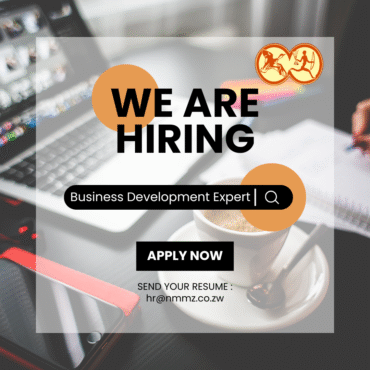 Strategic Opportunity: NMMZ Seeks Expert Fundraiser and Business Development Partner